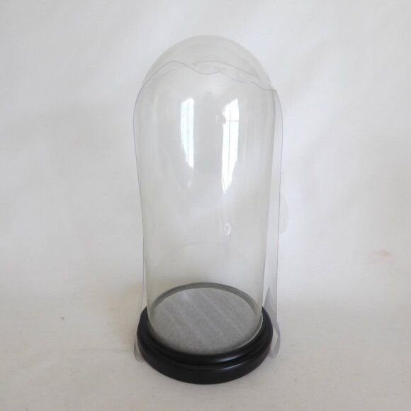 12.25” DECORATIVE GLASS CLOCHE DISPLAY DOME COVER BLACK WOOD BASE - Picture 1 of 5